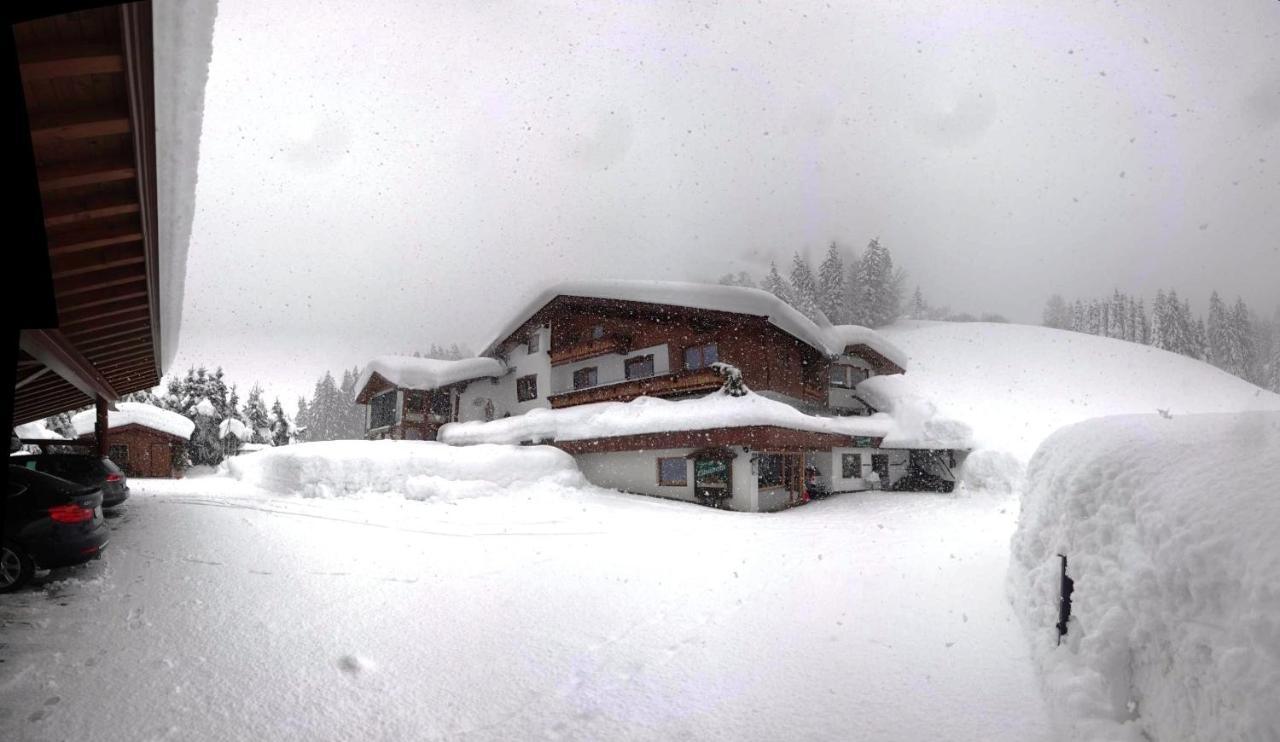 Ferienwohnung Saalbach Fieberbrunn Eksteriør bilde
